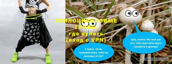 метадон Покачи
